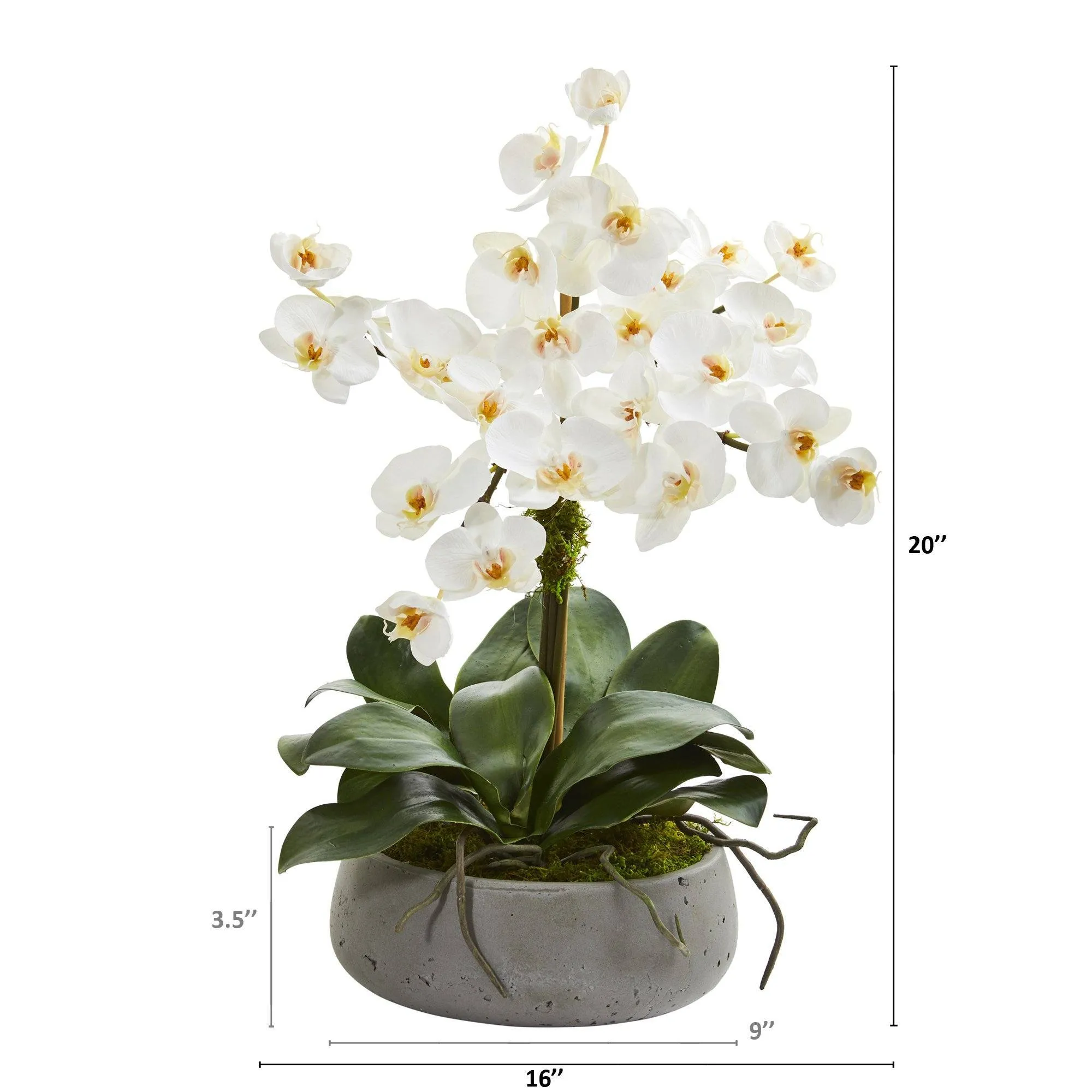 20” Phalaenopsis Orchid Artificial Arrangement in Gray Vase