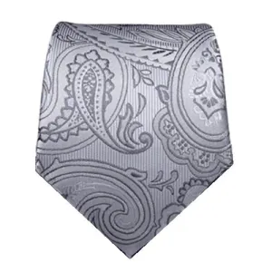 Classy Men Dark Silver Paisley Silk Tie