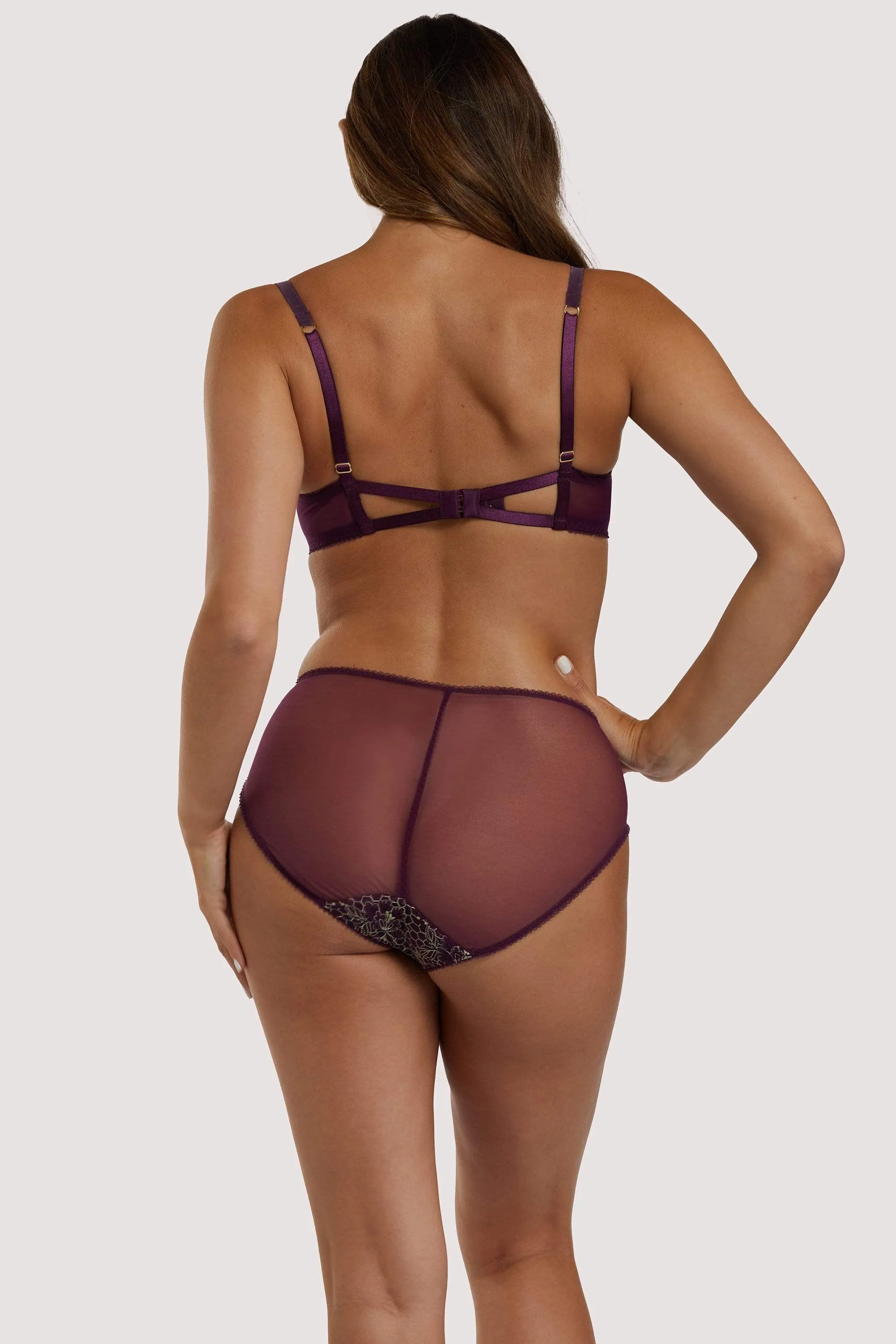 Evelina Aubergine Brief