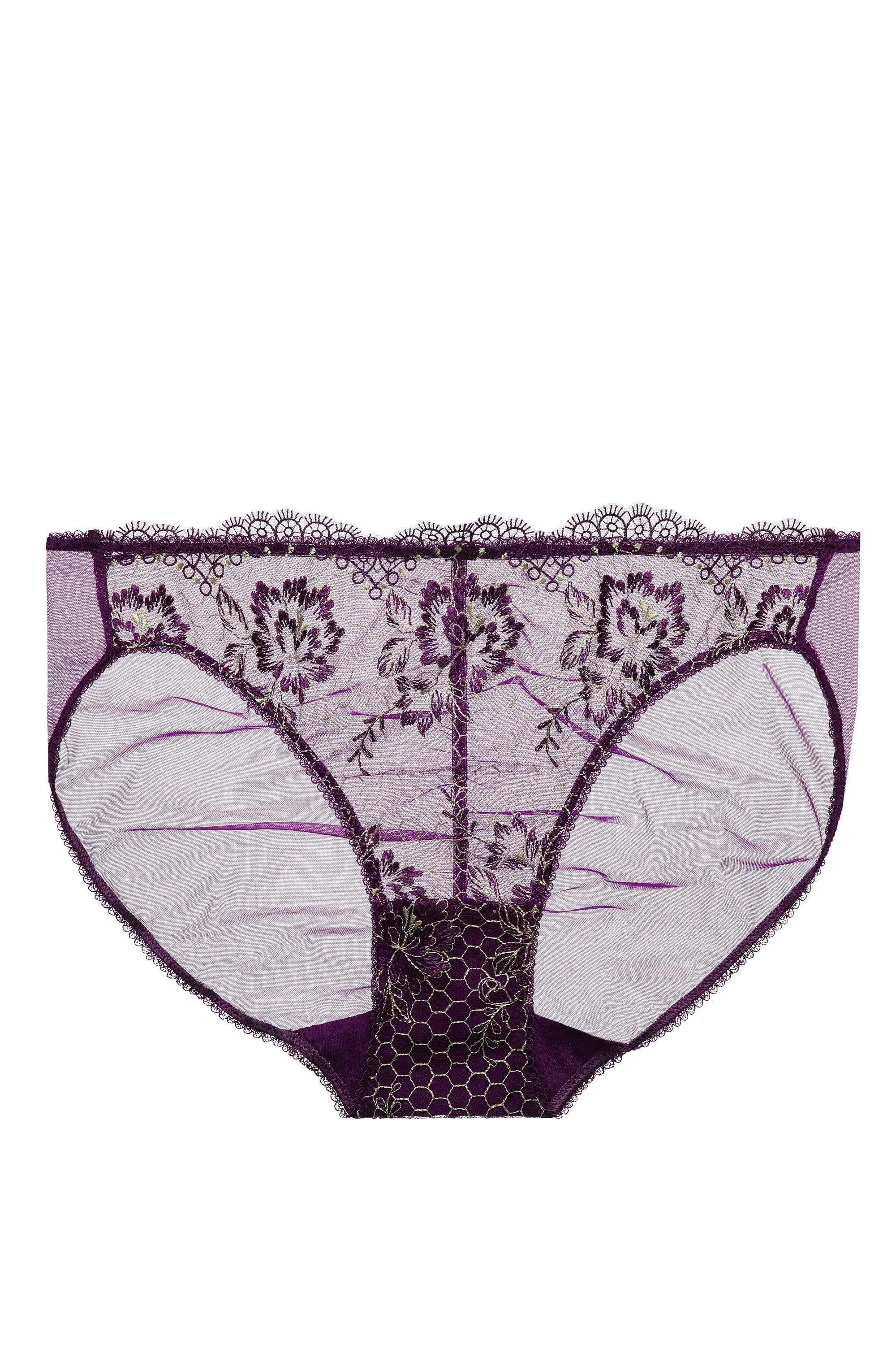 Evelina Aubergine Brief