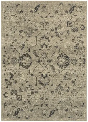 Highlands 6684D Beige/ Grey Rug