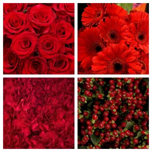 Shades of Red Bulk Bundle